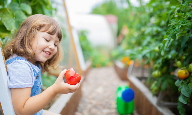 La jardinería y los niños - Hozelock Blog