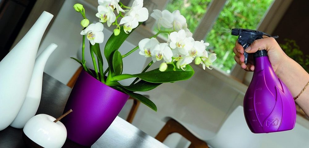 Periódico Hecho de Remolque Pulverizadores de gatillo para hidratar y limpiar tus orquídeas - Hozelock